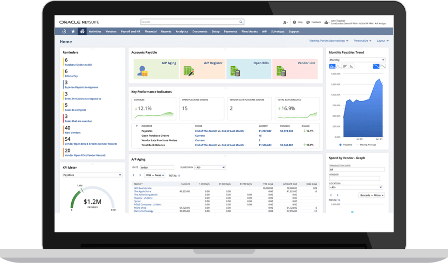 NetSuite accounting dashboard.